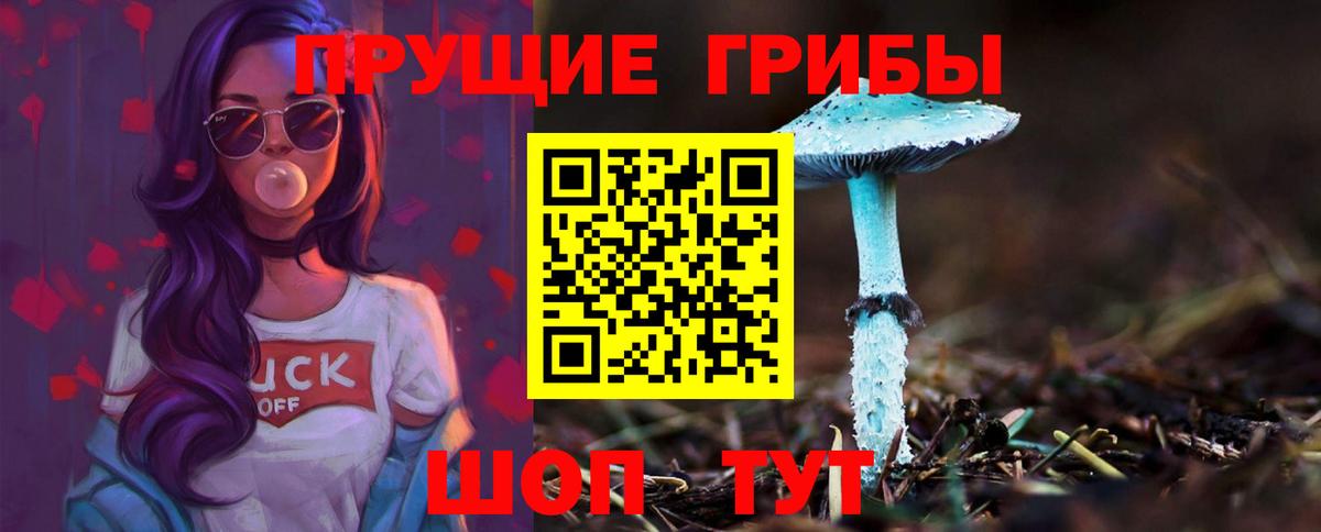 где найти   Вход с VPN  Верхняя Пышма  Галлюциногенные грибы MAGIC MUSHROOMS 
